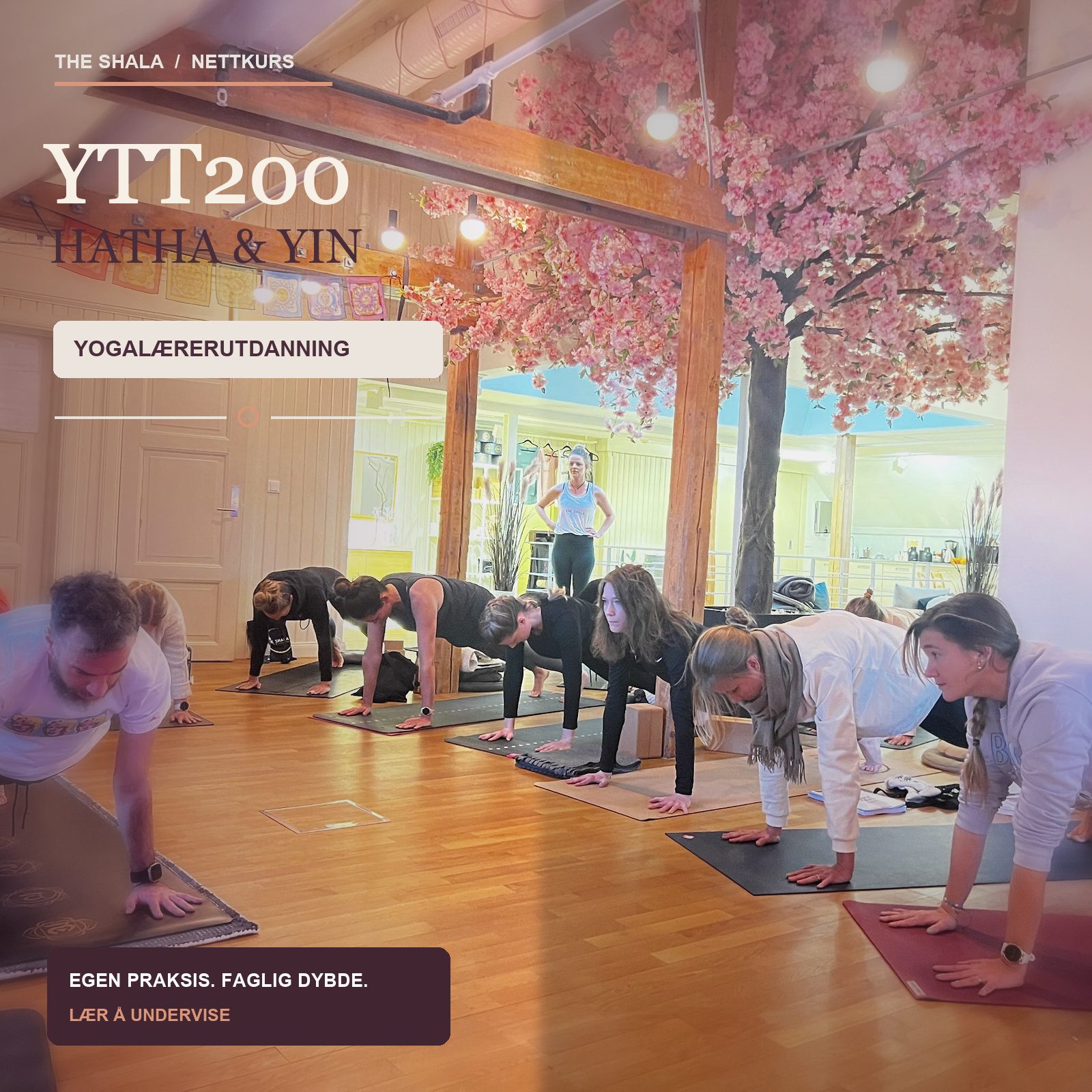 YTT200 Hatha & Yin Yogalærer