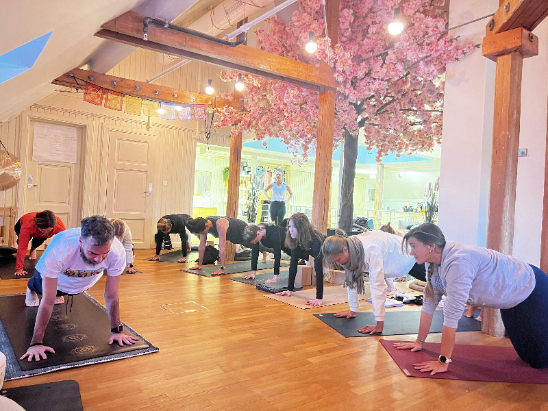 Transformative Hatha & Yin Classes